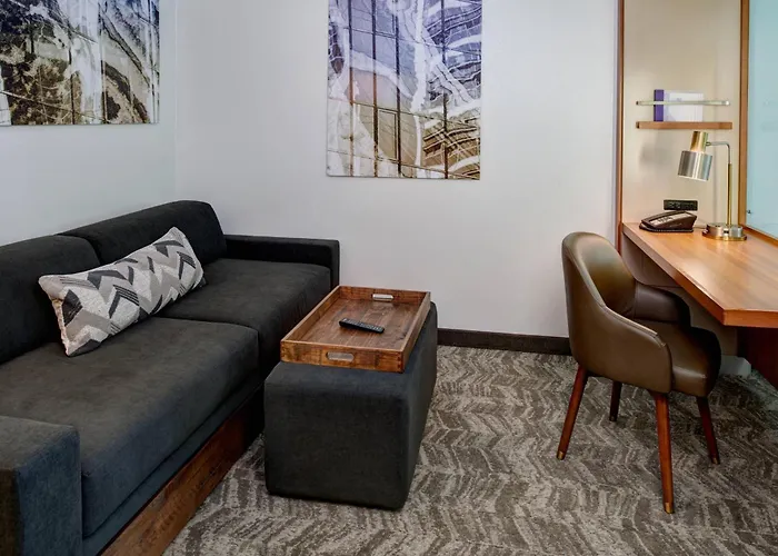 Springhill Suites By Marriott Saginaw